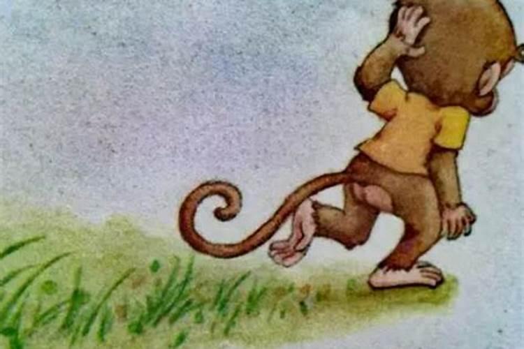 属猴和兔相配婚姻如何