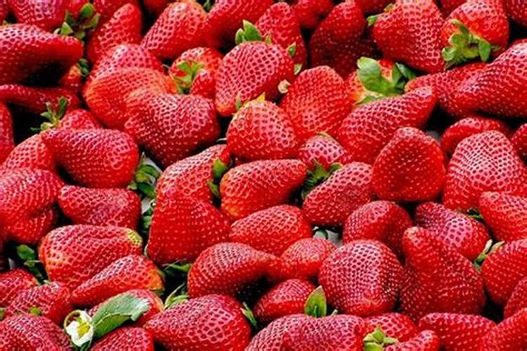 梦到很多很多草莓是什么意思