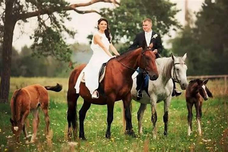 属马的婚配是什么