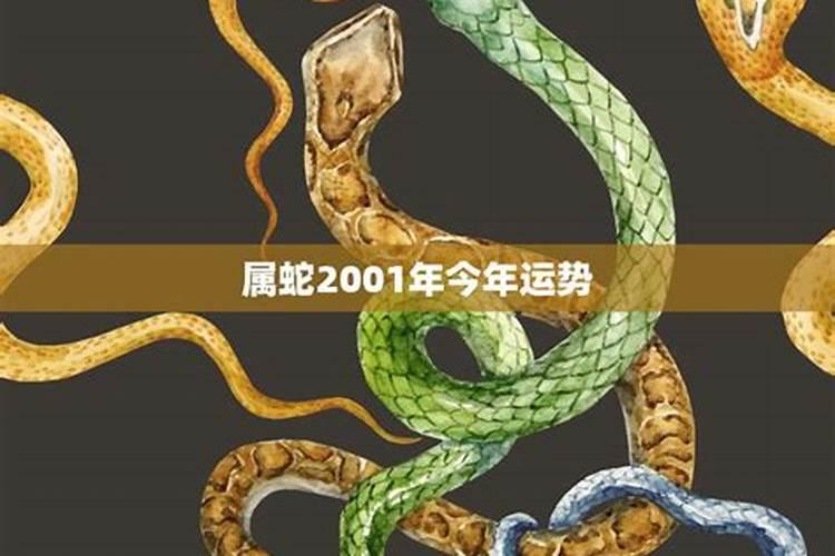 2023年属蛇的全年运势如何