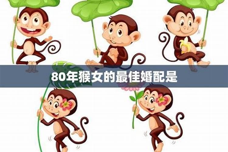 80年属猴女婚配表