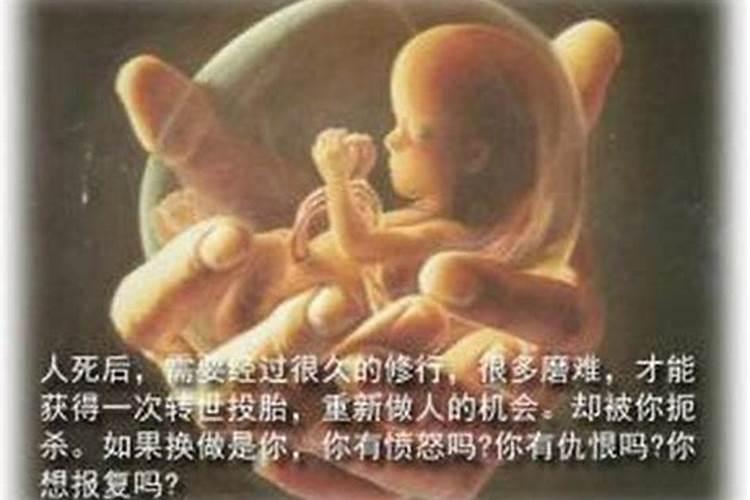 堕胎婴灵水生子