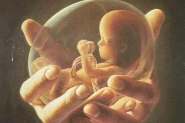 堕胎婴灵为什么落入三恶道