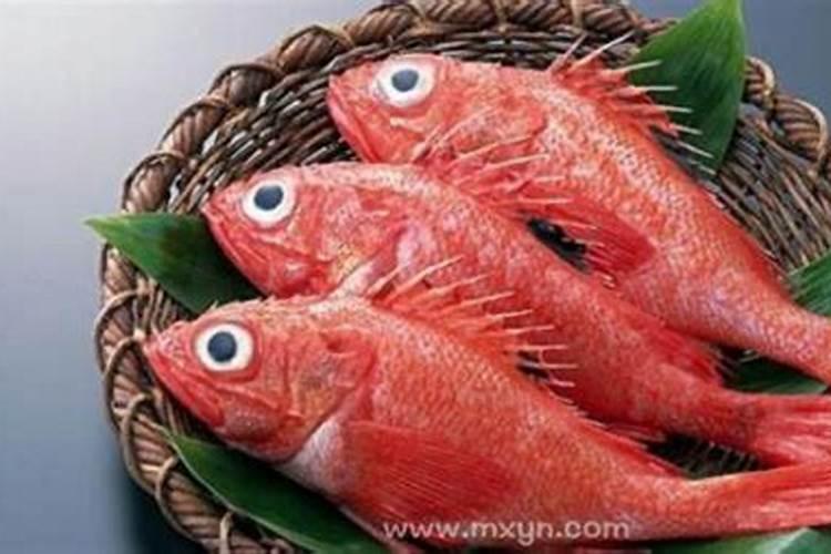 梦见红鱼有什么预兆