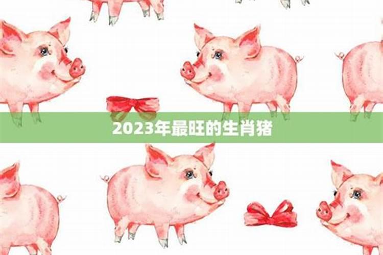 2023年属猪的财运和运气如何