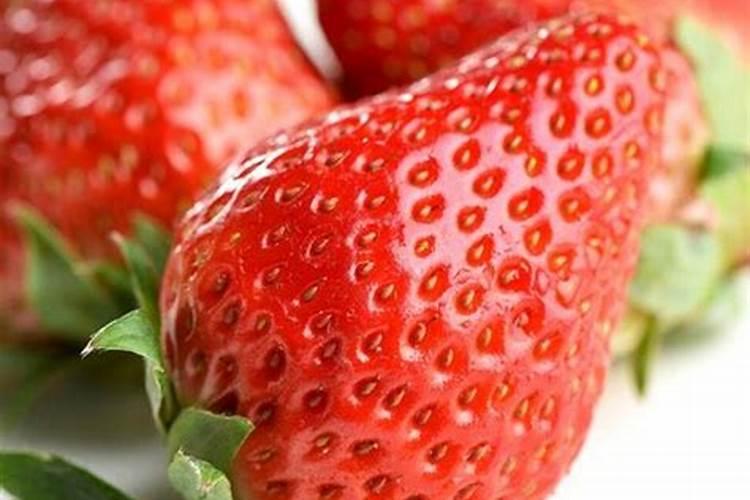 梦到摘草莓代表什么