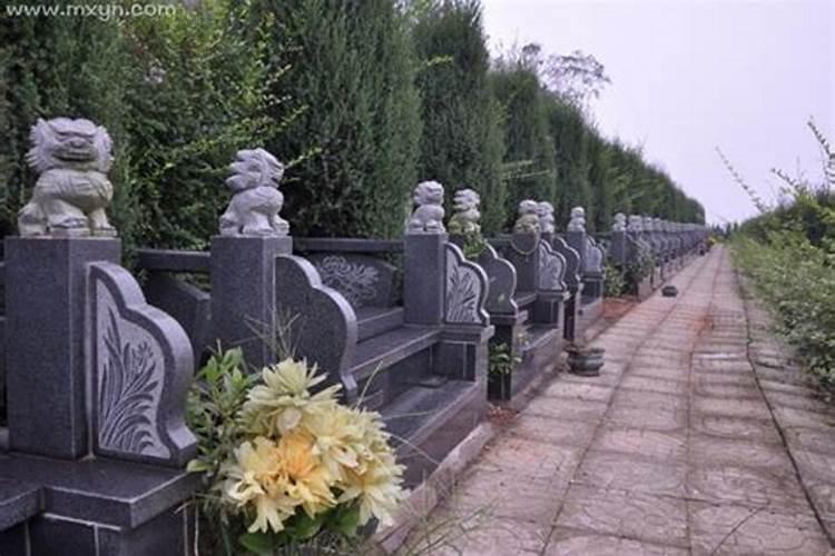 梦见墓碑和墓地是什么预兆