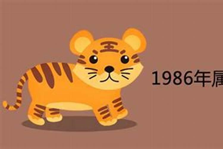 1986年属虎的属于什么命