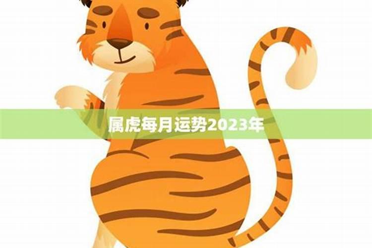 2023年属虎的每月运势和财运 属虎的2022运势如何