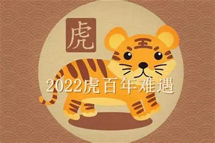 2023年属虎的属于什么命？2022属虎什么虎