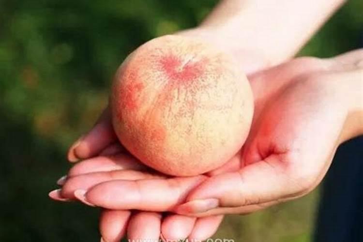孕妇梦见一个大桃子是什么意思