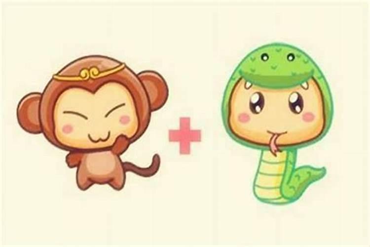 男猴和女蛇属相婚配吗