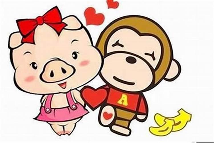 猪和猴的属相合婚吗