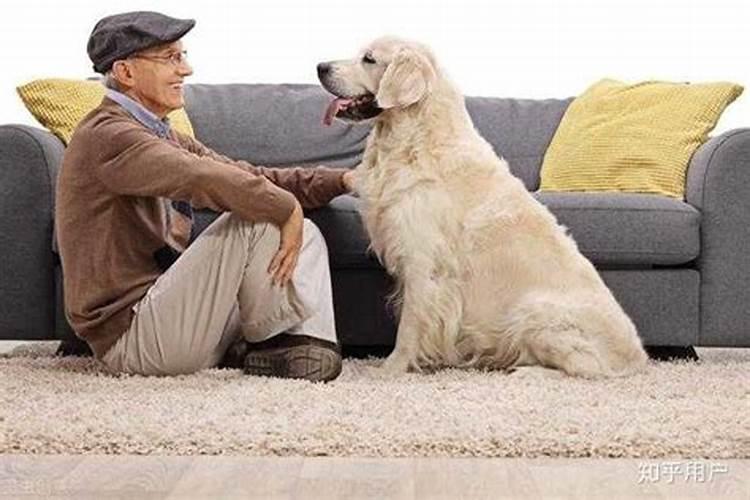 70年男狗和82年女狗的人在一起好吗