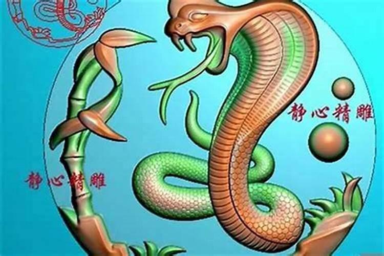 女蛇和蛇男相配婚姻如何