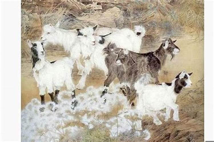 农历九月初九属羊人的命运