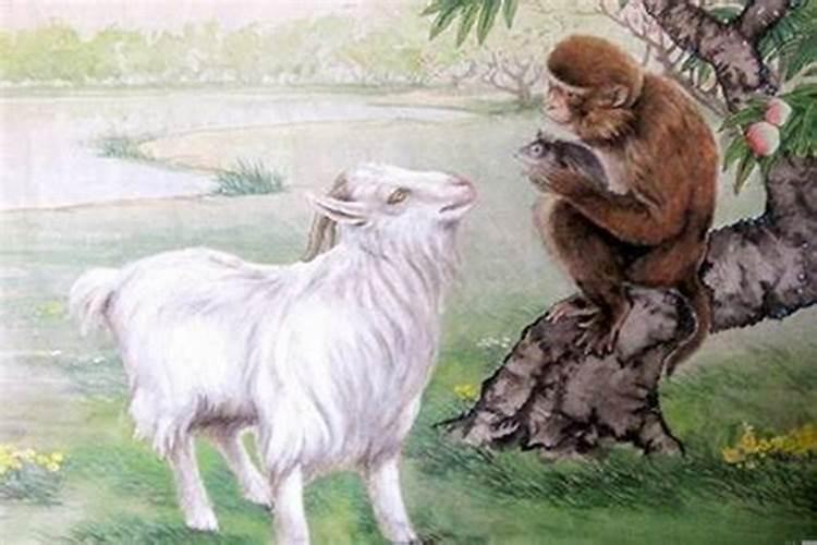 猴和羊属相配婚姻如何