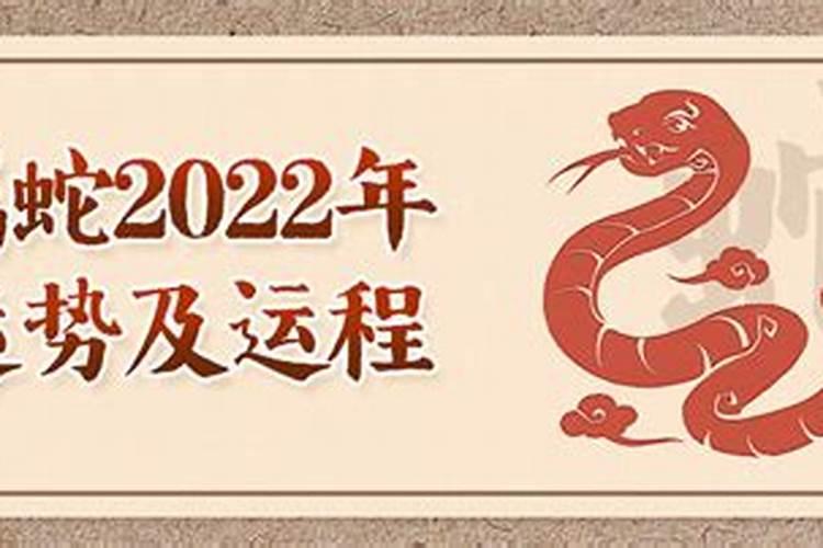 属蛇人2022年运势大家算命网