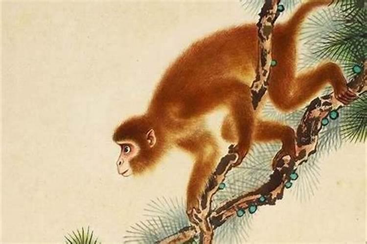 1980年属猴的是什么命