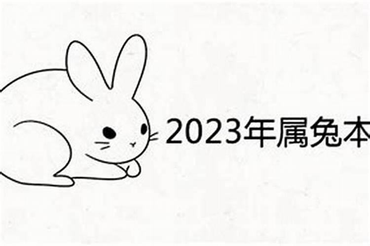 属兔今年的运势怎么样2023