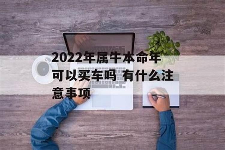 属马人2022年运势及运程每月运程华人开运网