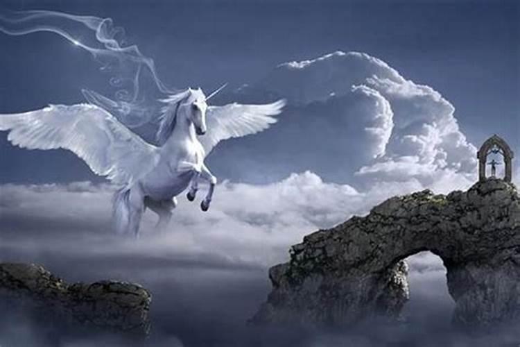 梦见两匹马在天上飞