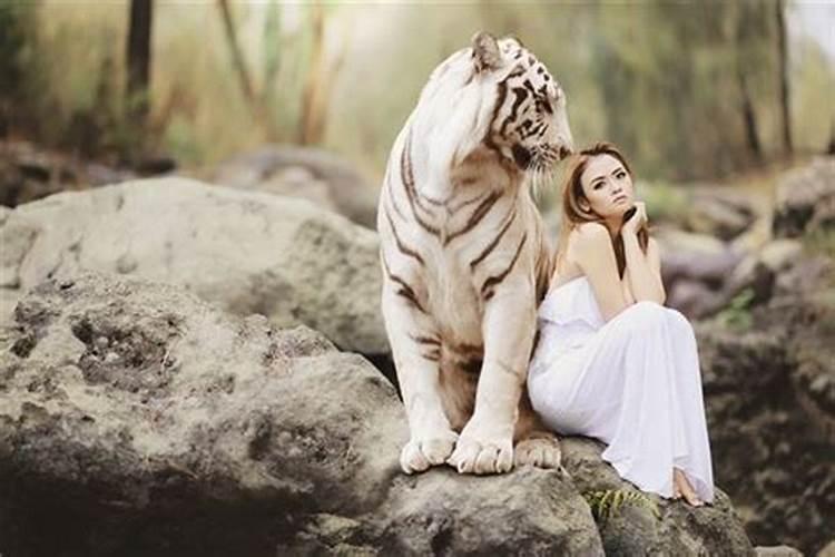 梦见狮子老虎是什么预兆女人