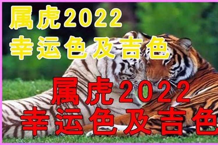 2022年属虎的幸运色是什么