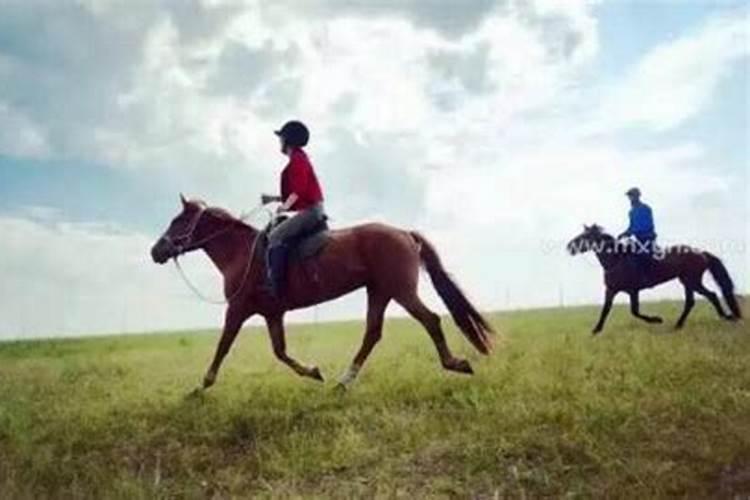 梦见骑着马奔跑的含义