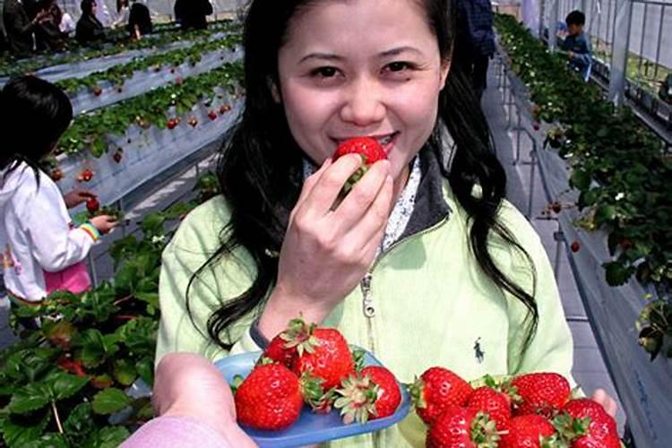 梦见自己摘吃草莓是什么意思周公解梦