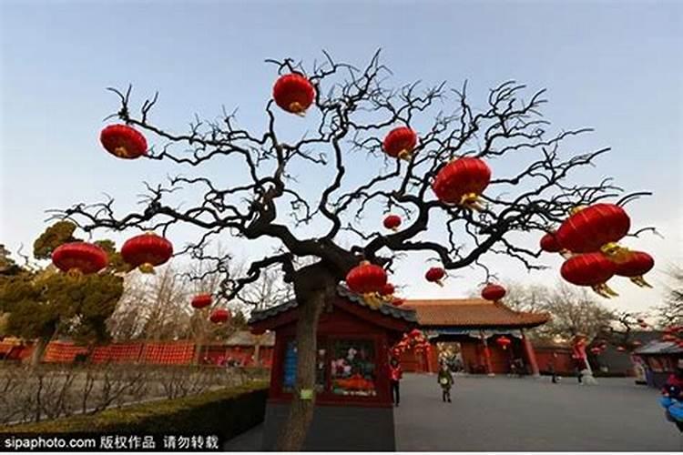 春节哪里北京