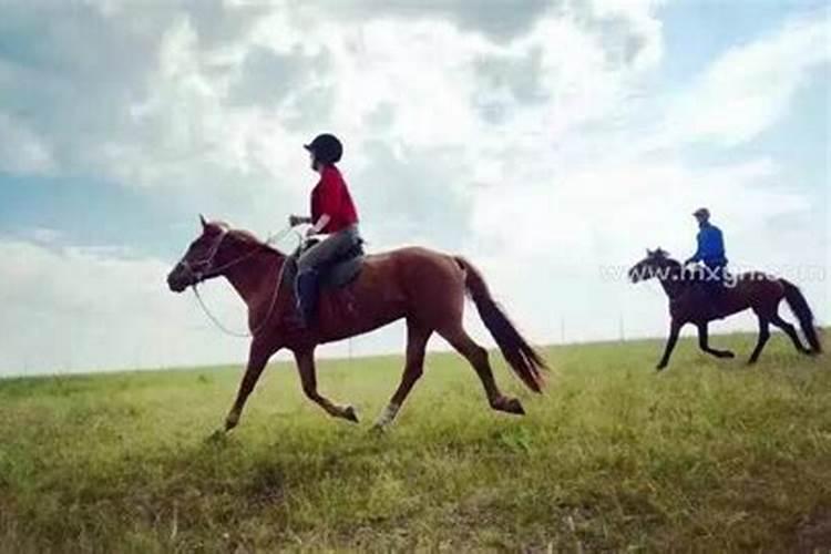 梦到骑马奔跑是什么意思