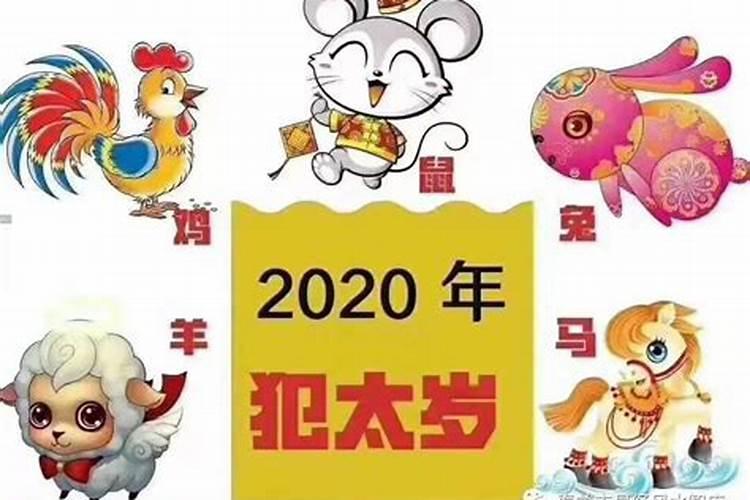 属鼠的2020年犯太岁吗