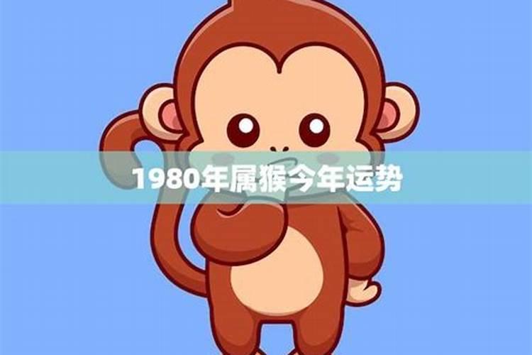 1980年属猴今年的运程