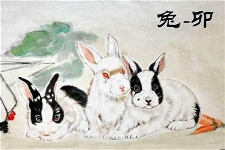 黑兔年最旺的四个属相