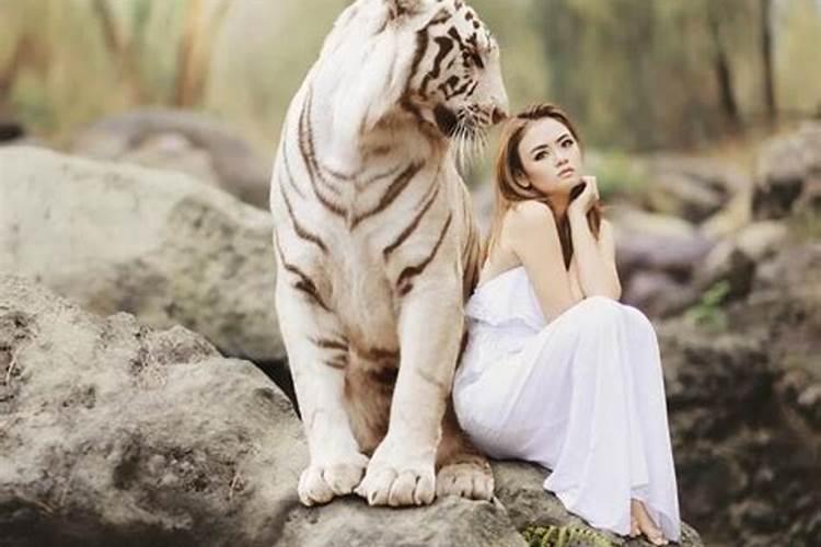 怀孕的女人梦见老虎