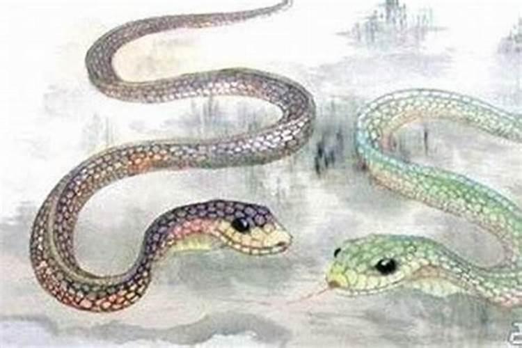 农历三月十五的属蛇