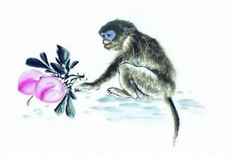 猴年冬至出生