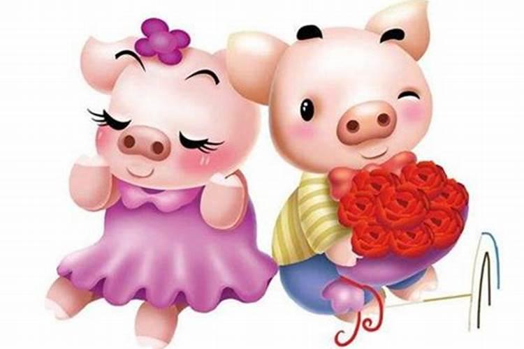 属猪和属猪的结婚会幸福吗