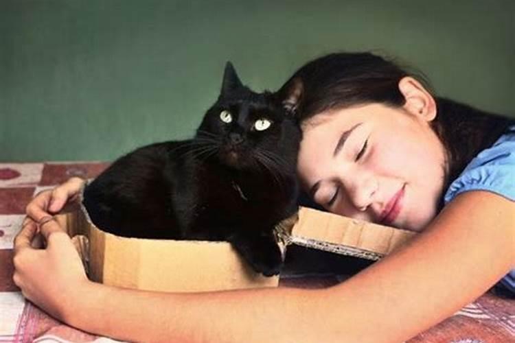 梦见猫死是什么预兆解梦女人