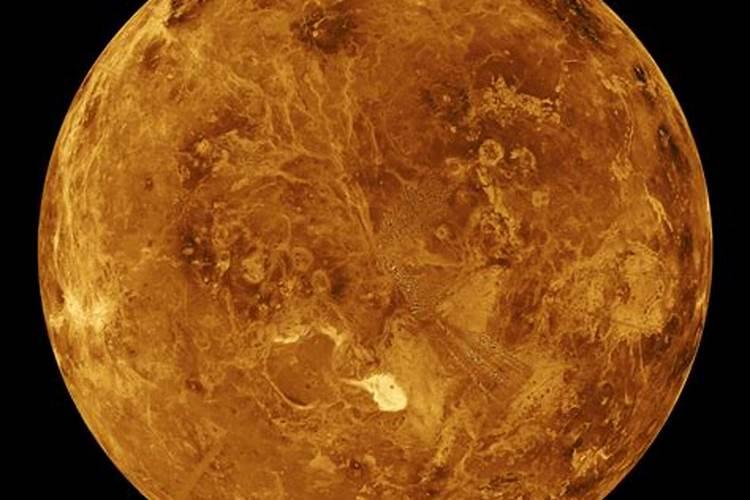 星座里的金星是什么