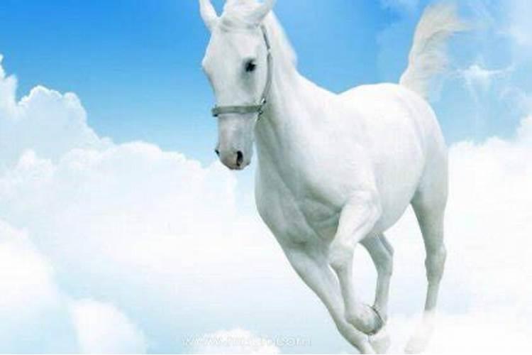 梦见骑白马什么预兆