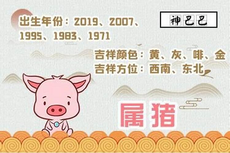 1991年出生的猪年运势