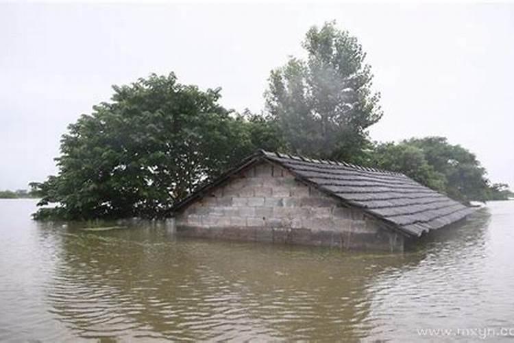 梦见舅舅家房子被水淹了