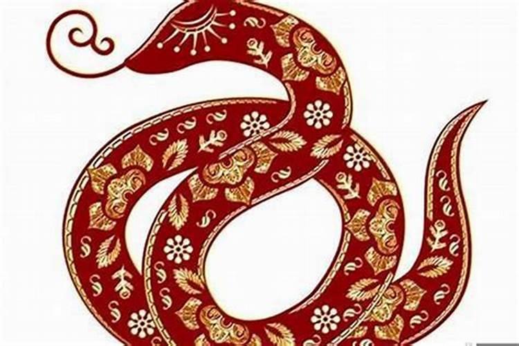 属蛇今年的运势和婚姻